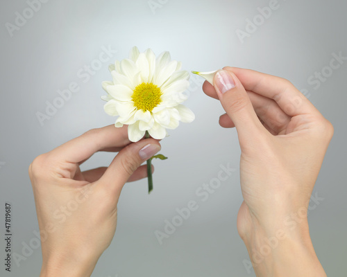 Photo: he loves me he loves me not he loves me he loves me not