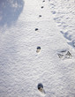 Footprints