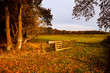 typical Dutch rural landscape