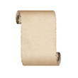 Vector old scroll paper