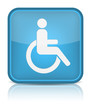 handicap or wheelchair person symbol