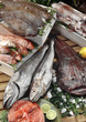 fresh seafood