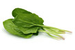 fresh spinach leaves