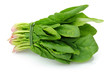 bunch of fresh spinach