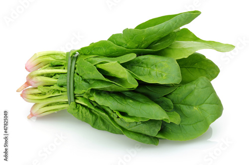 Photo: bunch of fresh spinach bunch of fresh spinach
