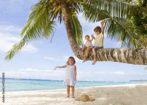 Photo: three children - boy and girls - sitting on palm tree on tropica three children - boy and girls - sitting on palm tree on tropica