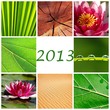 CALENDARIO 2013. MOTIVO PLANTA, FLOR, NENÚFAR, RELAX, MEDITACIÓN