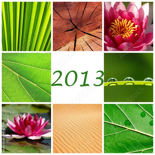 Photo: CALENDARIO 2013. MOTIVO PLANTA, FLOR, NENÚFAR, RELAX, MEDITACIÓN CALENDARIO 2013. MOTIVO PLANTA, FLOR, NENÚFAR, RELAX, MEDITACIÓN