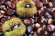 Chestnuts of Sicily