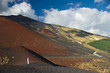 on the slope of the Etna,  Italy, Sicily
