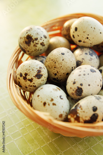 Photo: quail eggs quail eggs