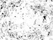 Damage and vandalism: Pieces of broken glass isolated