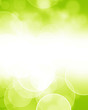 Green and fresh background