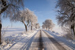 canvas print picture - Winterscape