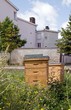 Photo: ruches en ville, au milieu des fleurs ruches en ville, au milieu des fleurs