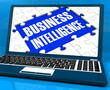 Business Intelligence On Laptop Showing Collecting Client Inform