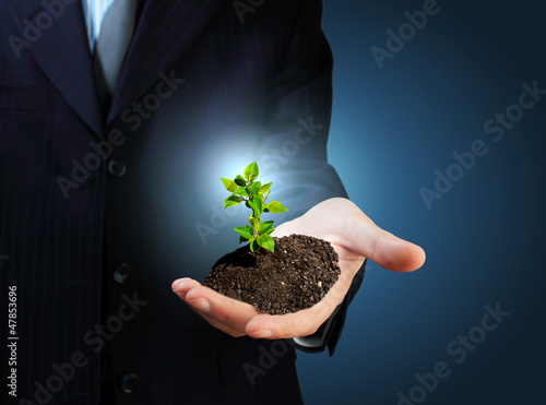 Photo: Young plant Young plant