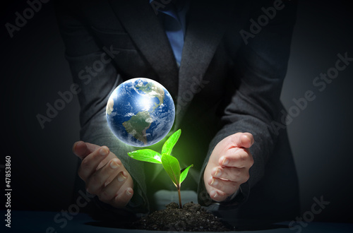 Photo: green plant on earth green plant on earth