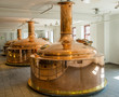 Carlsberg beer beverage