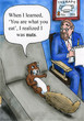 Squirrel learned he needs therapy for being nuts