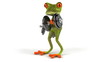 Fun Frog