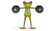 Fun Frog Fun Frog