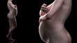 Naked pregnant woman in timelapse focused on abdomen