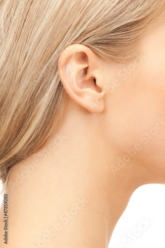 Photo: picture of woman's ear picture of woman's ear