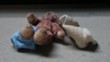 stripped teddy