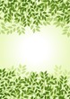 Vector: Green leaf background Green leaf background
