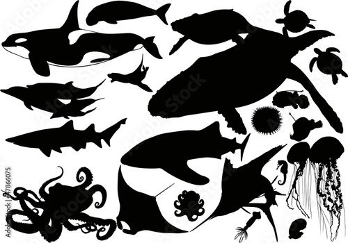 Vector: Aquatic animal silhouette collection Aquatic animal silhouette collection