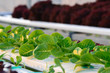 Hydroponics vegetable