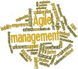 Word cloud for Agile management