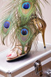 Turkey feathers and heel fashion