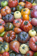 tomates variétés ancienne
