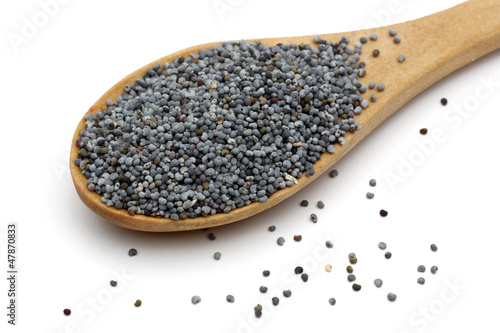 Photo: Poppy seed Poppy seed