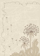 Vintage background with dandelions.