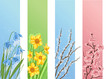 Collection of spring flowers isolated on white background
