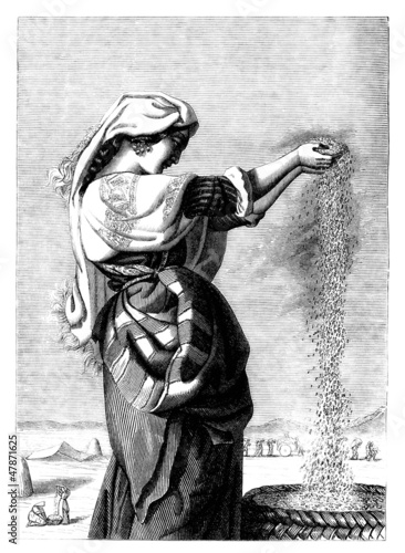 Illustration: Peasant Beauty - Belle Vanneuse - 19th century Peasant Beauty - Belle Vanneuse - 19th century