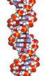 DNA double helix molecule. cartoon vector image.