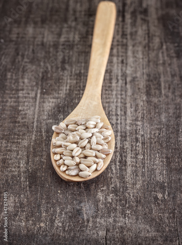 Photo: wheat grain in the wooden spoon wheat grain in the wooden spoon