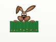 Illustration: osterhase blickt über den zaun osterhase blickt über den zaun