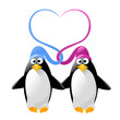 pinguini