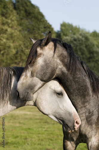 Photo: Friends Friends