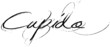 cupido