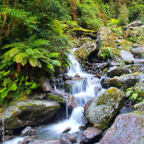 Photo: Waterfall in lush rain forest Waterfall in lush rain forest