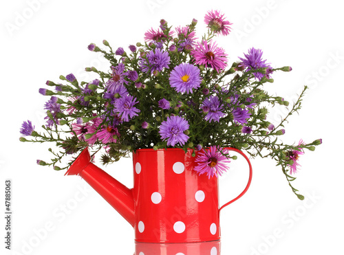 Photo: beautiful bouquet of purple flowers in watering can isolated beautiful bouquet of purple flowers in watering can isolated