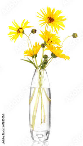 Photo: beautiful yellow flowers in vase isolated on white beautiful yellow flowers in vase isolated on white