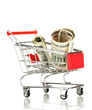 Money in cart isolated on white