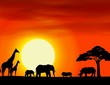 Africa safari landscape background